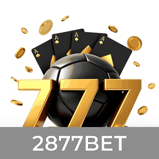 2877BET: Experiência de Jogo Segura com Serviços Profissionais